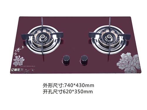 億翔龍嵌入式灶9
