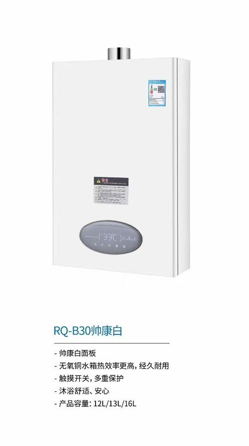 國內(nèi)灶燃?xì)?熱水器,煙機(jī),電熱水器,消毒柜,環(huán)保灶,億翔龍集團(tuán),國內(nèi)廚具,廚房用品,帥運(yùn)來,智榮好太太