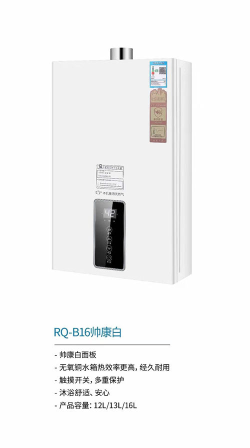 國內(nèi)灶燃?xì)?熱水器,煙機(jī),電熱水器,消毒柜,環(huán)保灶,億翔龍集團(tuán),國內(nèi)廚具,廚房用品,帥運(yùn)來,智榮好太太